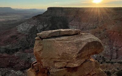 Best Tours & Experiences in Springdale Utah Zion