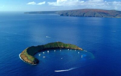 Best Tours & Experiences in Makawao Maui