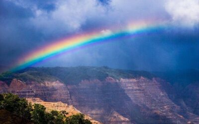 Best Tours & Experiences in Waimea Canyon Kauai