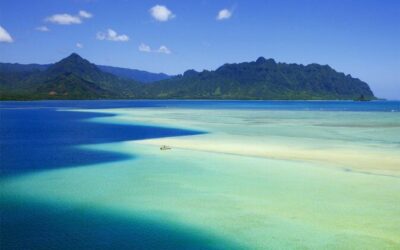 Best Tours & Experiences in Kaneohe Oahu