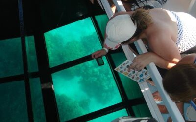 Best Tours & Experiences in Waikoloa Big Island