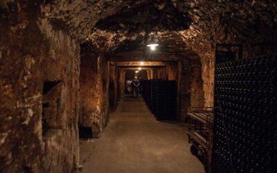 Best Tours & Experiences in Reims Palace Champagne
