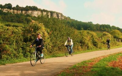 Best Tours & Experiences in Beaune France