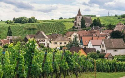 Best Tours & Experiences in Macon France
