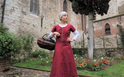 Best Tours & Experiences in Albi Cathedral France