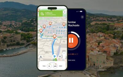 Best Tours & Experiences in Collioure France