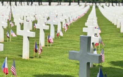 Best Tours & Experiences in Verdun Battlefields