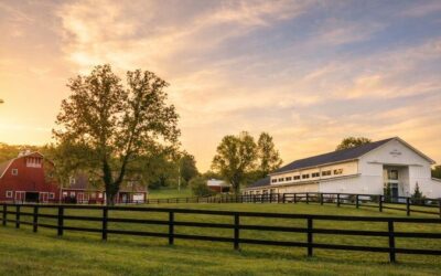 Best Tours & Experiences in Ste Genevieve Missouri