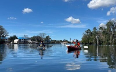 Best Tours & Experiences in Homosassa Florida