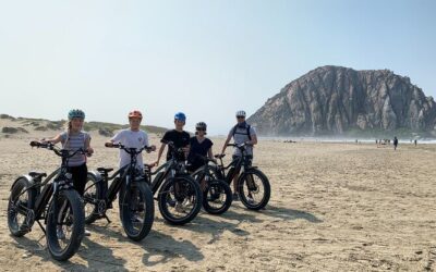 Best Tours & Experiences in Morro Bay California