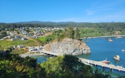 Best Tours & Experiences in Trinidad California Coast