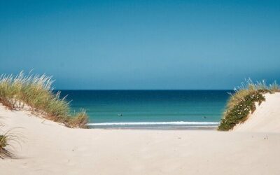 Best Tours & Experiences in Peniche Portugal