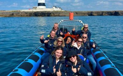 Best Tours & Experiences in Dunmore East Ireland