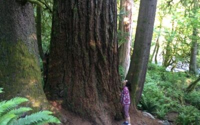 Best Tours & Experiences in Snoqualmie Washington