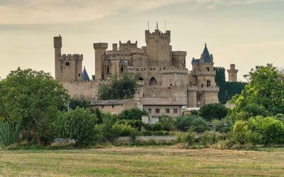 Best Tours & Experiences in Olite Spain