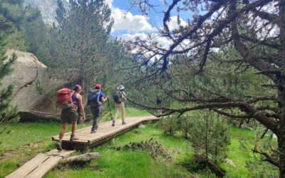Best Tours & Experiences in Aiguestortes Spain