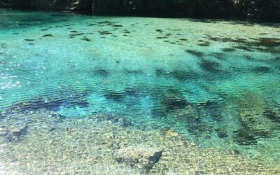 Best Tours & Experiences in Narni Italy