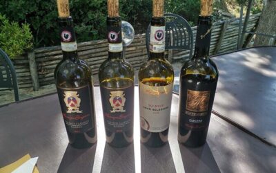 Best Tours & Experiences in Greve in Chianti Italy