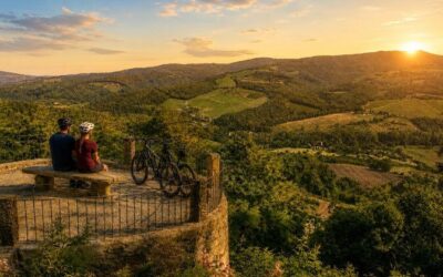 Best Tours & Experiences in Gaiole in Chianti Italy