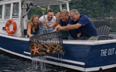 Best Tours & Experiences in Belfast Maine
