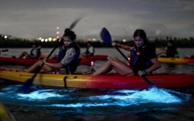 Best Tours & Experiences in Fajardo Puerto Rico
