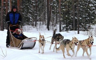 Best Tours & Experiences in Levi Lapland Finland