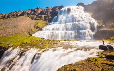 Best Tours & Experiences in Isafjordur Iceland