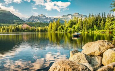 Best Tours & Experiences in Cicmany Slovakia