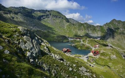 Best Tours & Experiences in Fagaras Romania
