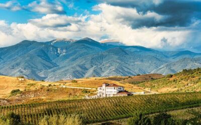 Best Tours & Experiences in Melnik Bulgaria