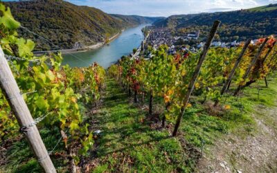 Best Tours & Experiences in Boppard Germany