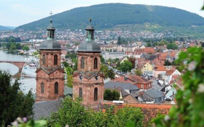 Best Tours & Experiences in Miltenberg Germany