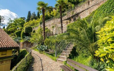Best Tours & Experiences in Morcote Switzerland