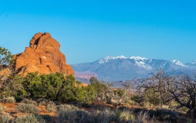 Die besten Touren und Erlebnisse im Arches-Nationalpark