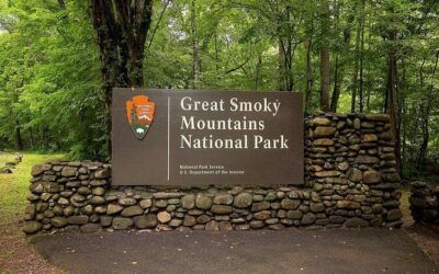 Die besten Touren und Erlebnisse im Great-Smoky-Mountains-Nationalpark