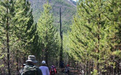 Die besten Touren und Erlebnisse im Glacier-Nationalpark