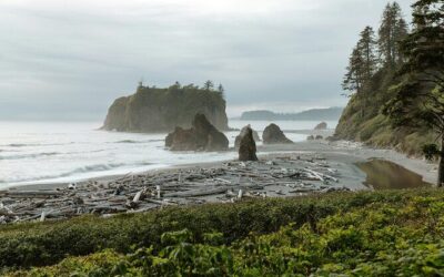 Die besten Touren und Erlebnisse in Olympic National Park