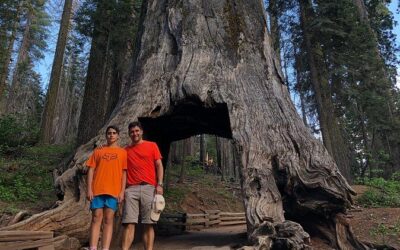 Die besten Touren und Erlebnisse im Yosemite Valley