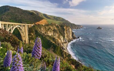 Die besten Touren und Erlebnisse in Big Sur