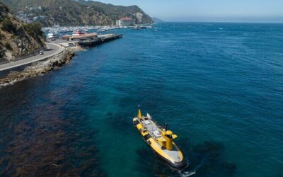 Die besten Touren und Erlebnisse in Catalina Island
