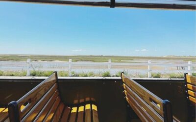Die besten Touren und Erlebnisse auf Cape Cod