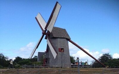 Beste Touren und Erlebnisse auf Nantucket