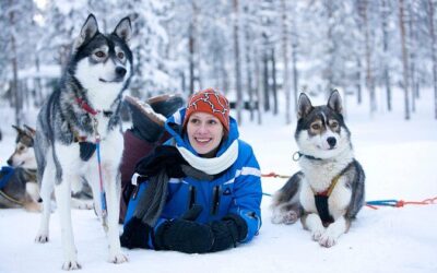 Migliori tour ed esperienze a Rovaniemi Finland