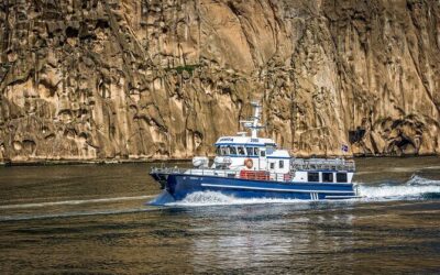 Migliori tour ed esperienze a Vestmannaeyjar Iceland