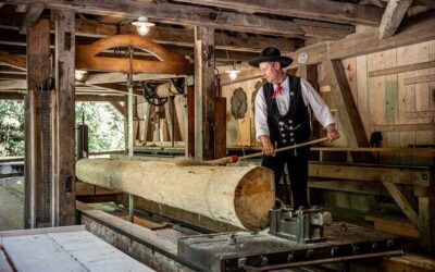 Beste Touren und Erlebnisse in Interlaken Switzerland