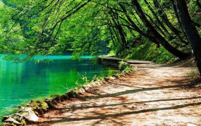 I migliori tour ed esperienze a Split, Croazia