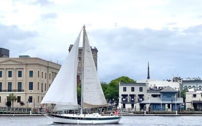 Best Tours & Experiences in Wilmington North Carolina