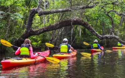 Best Tours & Experiences in Jacksonville Florida