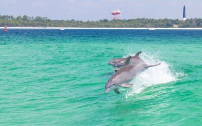 Best Tours & Experiences in Pensacola Florida
