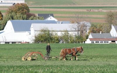 Best Tours & Experiences in Amish Country Ohio